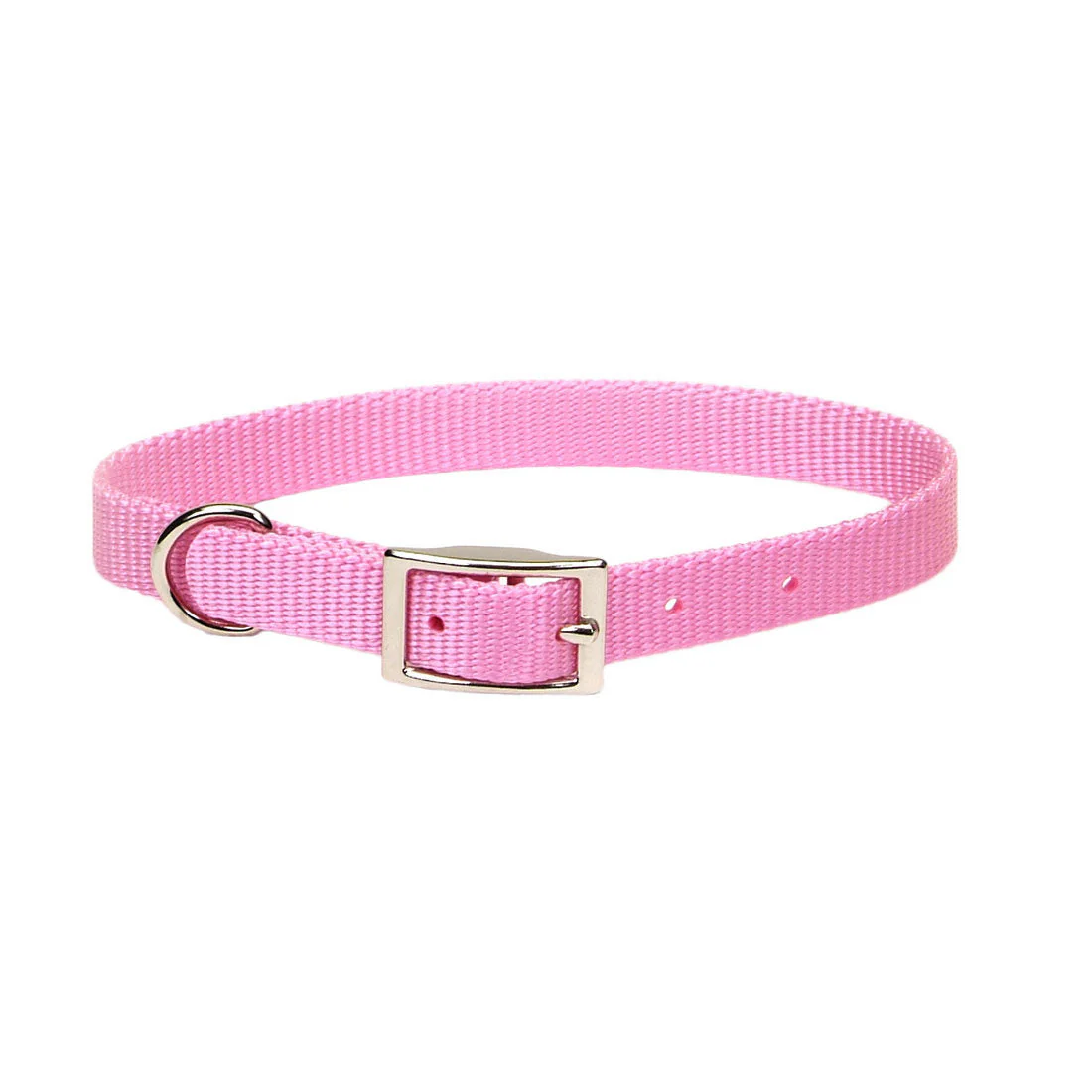 Coastal Single-Ply Dog Collar - Image 2