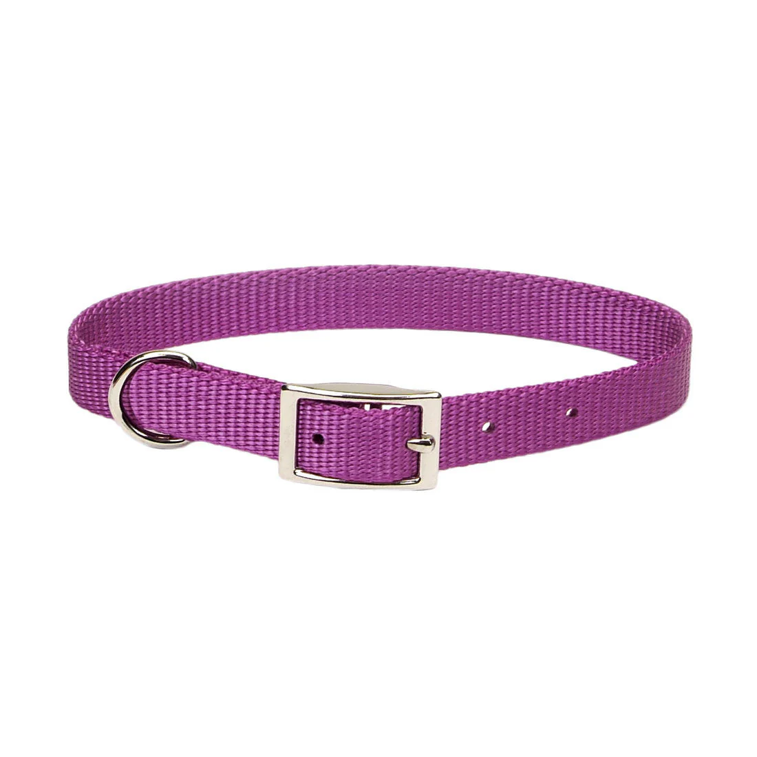 Coastal Single-Ply Dog Collar - Image 9