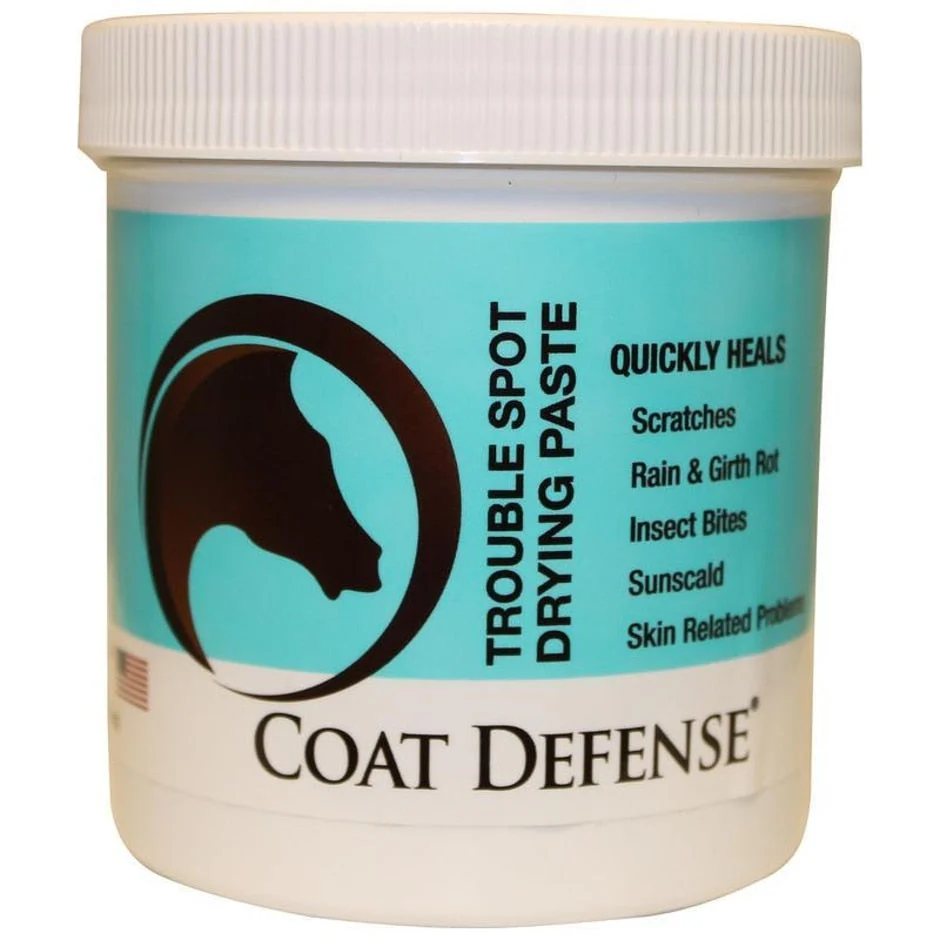 COAT DEFENSE TROUBLE SPOT DRYING PASTE - Image 3