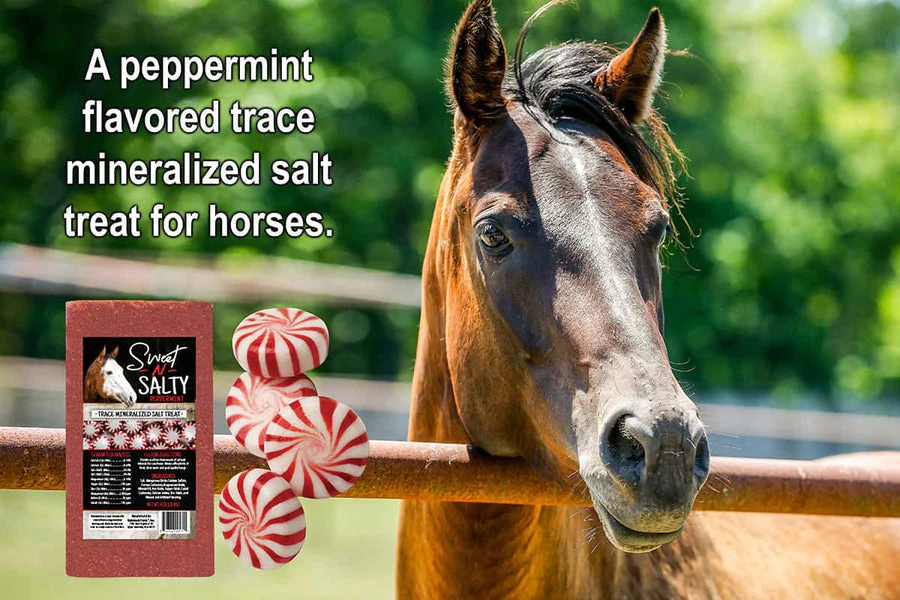 Kalmbach Feeds Sweet-N-Salty (Peppermint) Block - Image 2