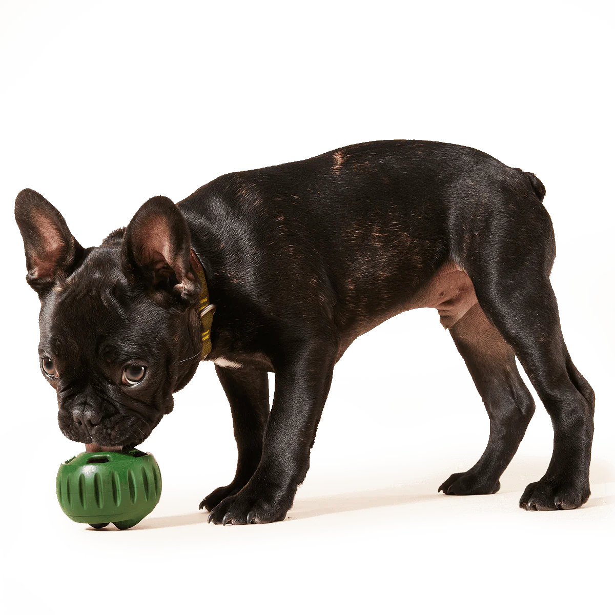 Woof Pupsicle Pops Dog Treats - Image 3