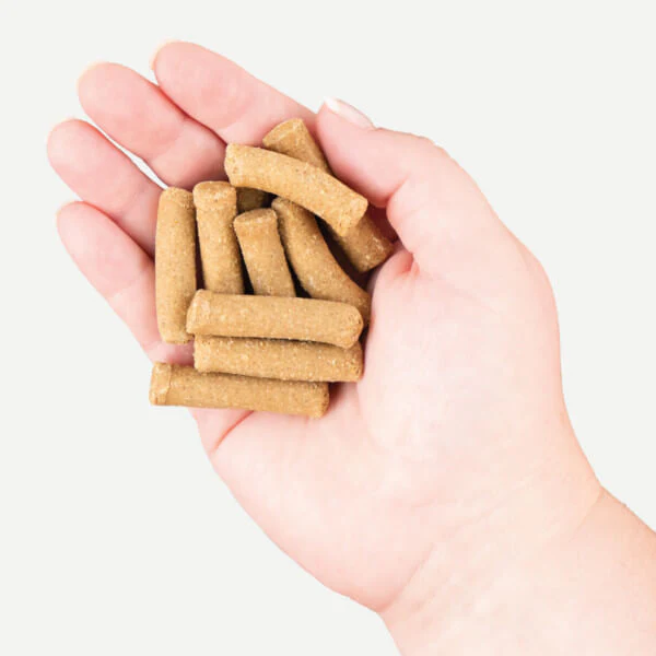 Earthborn Holistic EarthBites Chewy with Bison Protein Dog Treats - Image 3