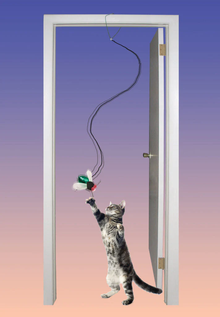 Ethical Pet SPOT Buzzing Insect A-Door-Able Assorted  Cat Toy - Image 2