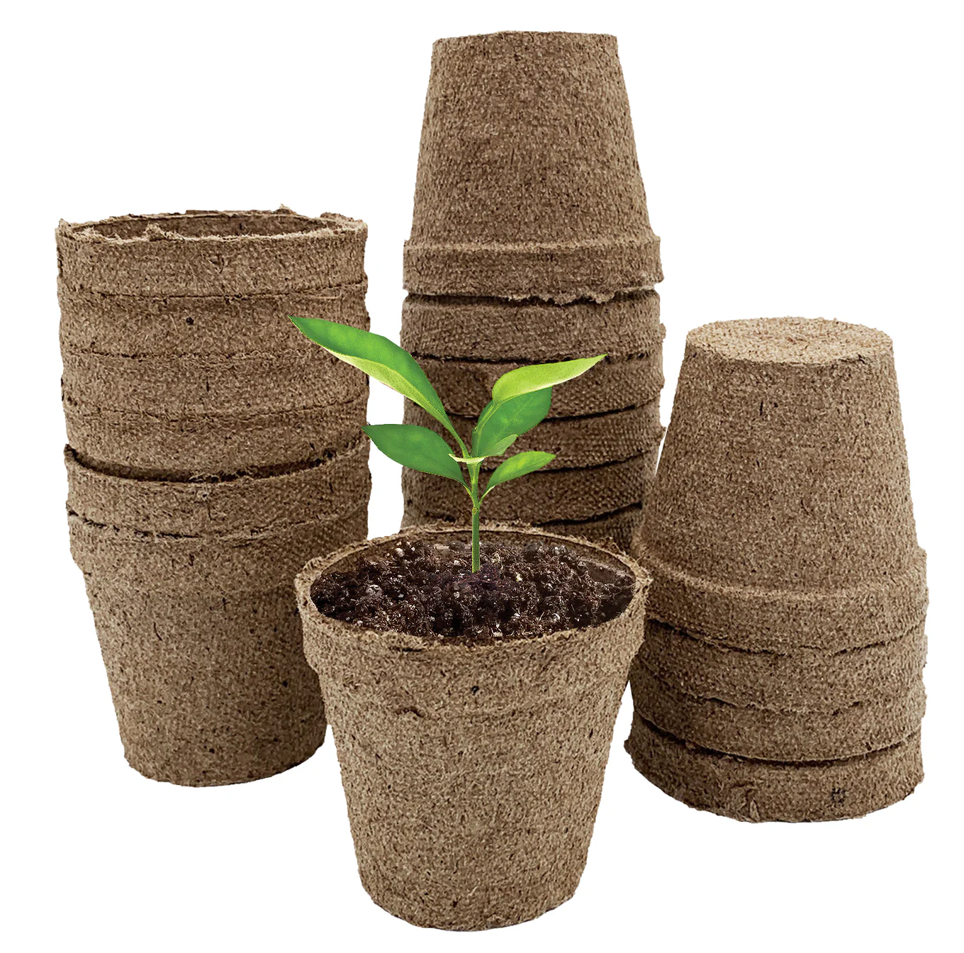 Ferry-Morse Jiffy-Pots Peat Pots - Image 2