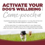 NutriSource Come Pooch-A Broth Beef Recipe Dog Food - Image 3