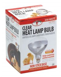 Miller Heat Lamp Bulb 250 Watt - Image 2