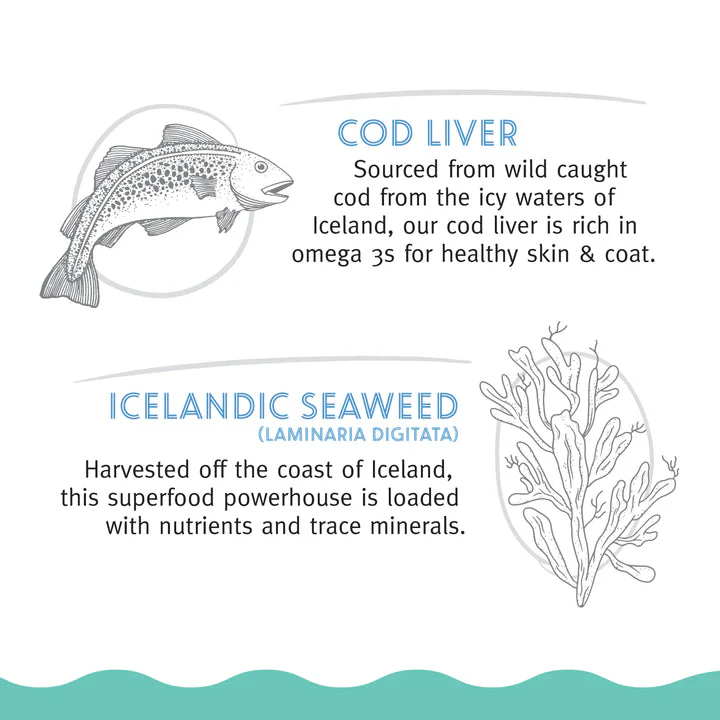 Icelandic+™ Soft Chew Nibblets Cod Liver & Seaweed Recipe Cat Treat - Image 4