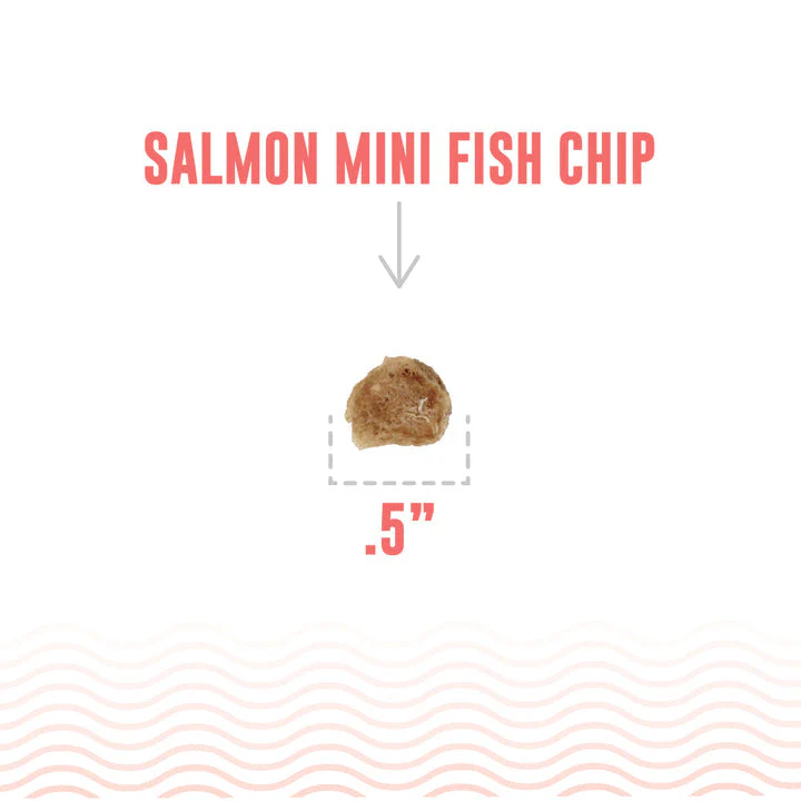 Icelandic+ Salmon Mini Fish Chips Dog Treats - Image 2