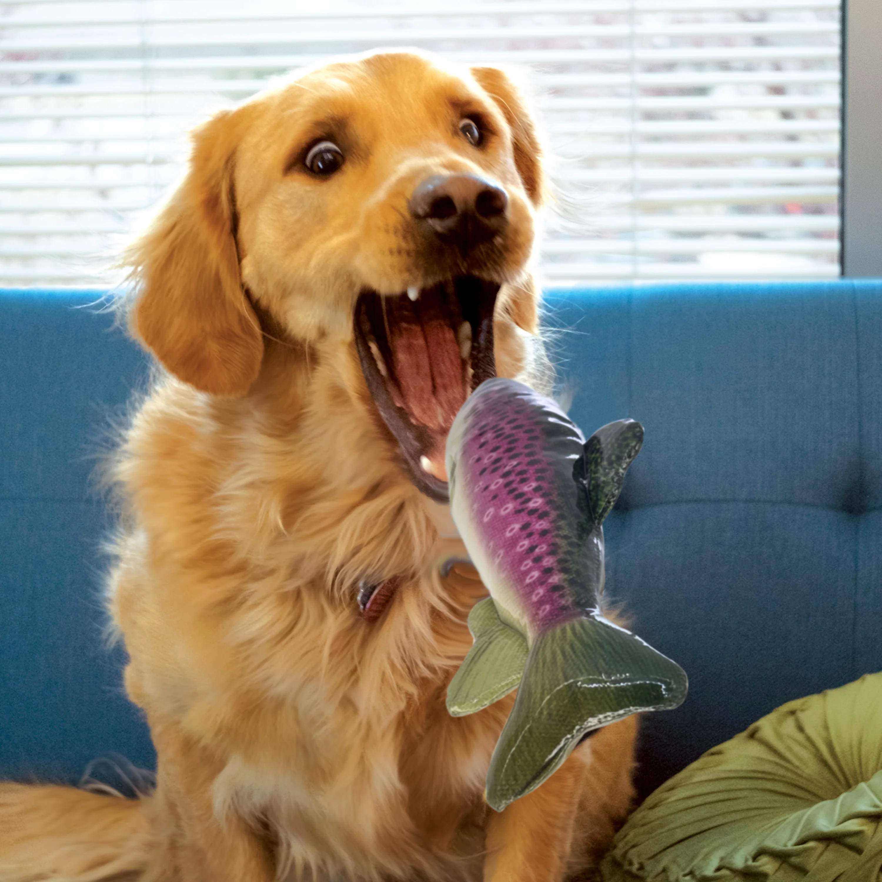 KONG Wild Shieldz Trout Dog Toy - Image 2