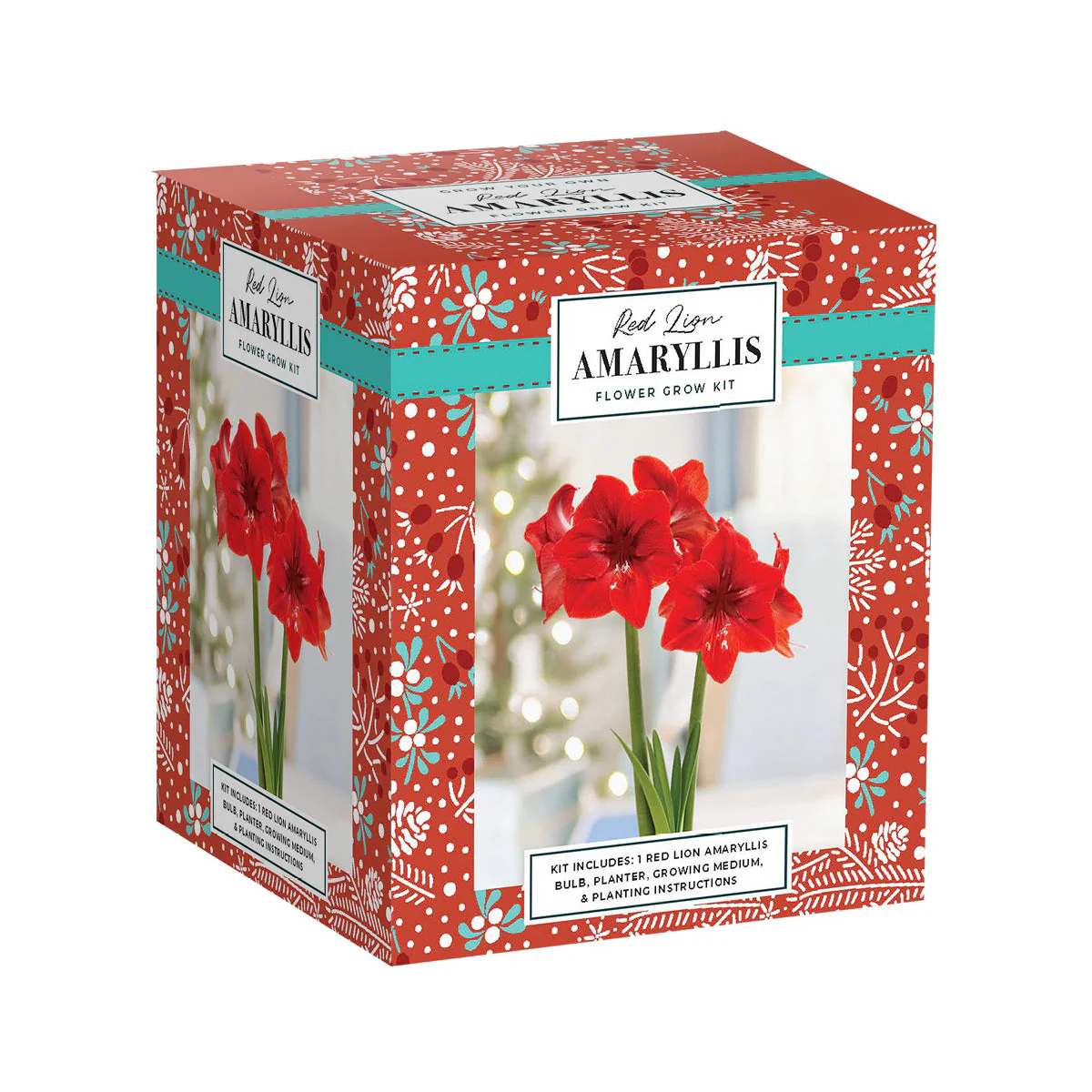 Netherland Bulb Company HG Essentials Amaryllis Holiday Gift Growing Kit - Image 3