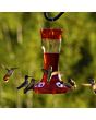 More Birds® Bird Health Natural Red Liquid Concentrate Hummingbird Nectar - Image 2