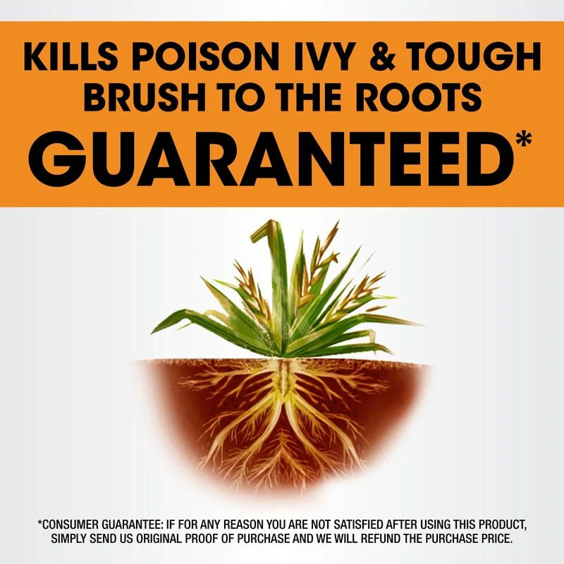 Roundup Poison Ivy Plus Tough Brush Killer2 Concentrate - Image 4