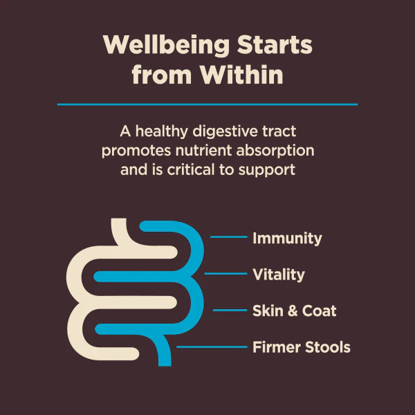 Wellness CORE Digestive Health Whitefish & Brown Rice Dry Dog Food - Image 10