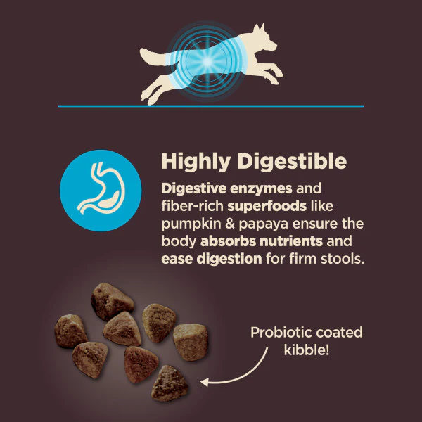 Wellness CORE Digestive Health Whitefish & Brown Rice Dry Dog Food - Image 6