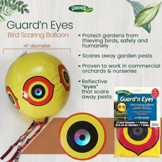 Dalen GUARD'N EYES Inflatable Reflective Bird Scare Balloon - Image 4