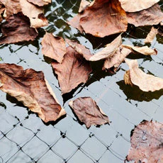 Dalen Reusable Heavy-Duty Pond & Pool Netting for Fish Protection - Image 3