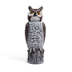 Dalen Rotating Head Owl - Image 2