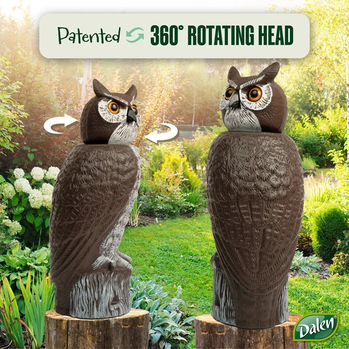 Dalen Rotating Head Owl - Image 4