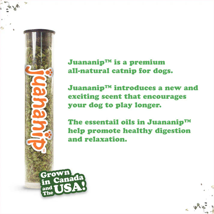 Doggijuana Get the Munchies Refillable Hot Dog Toy - Image 4