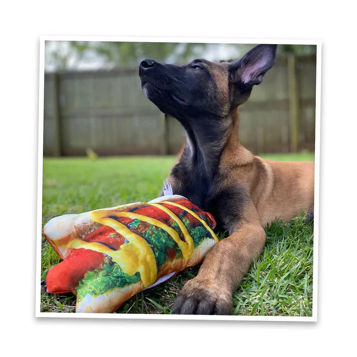 Doggijuana Get the Munchies Refillable Hot Dog Toy - Image 6