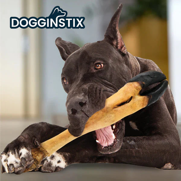 Dogginstix Beef Feet Dog Treats - Image 4