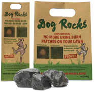 Dog Rocks