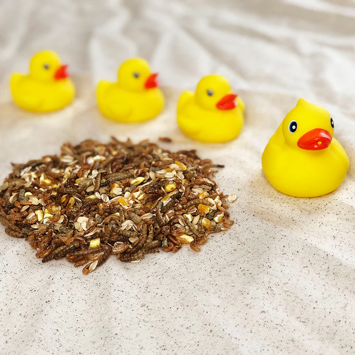 Duck Pond Medley™ - Image 2