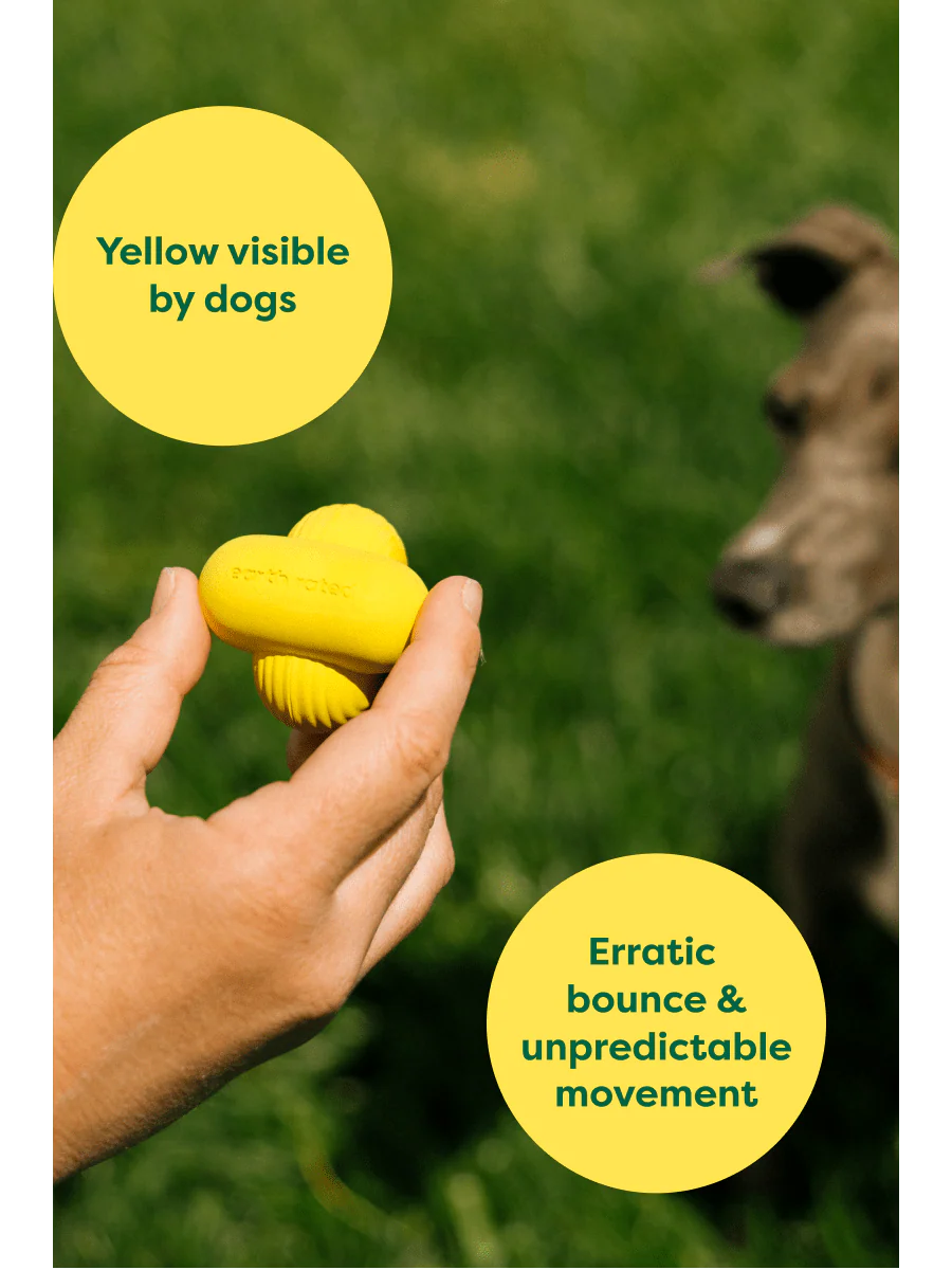 Earth Rated Rubber Fetch Dog Toy - Image 3