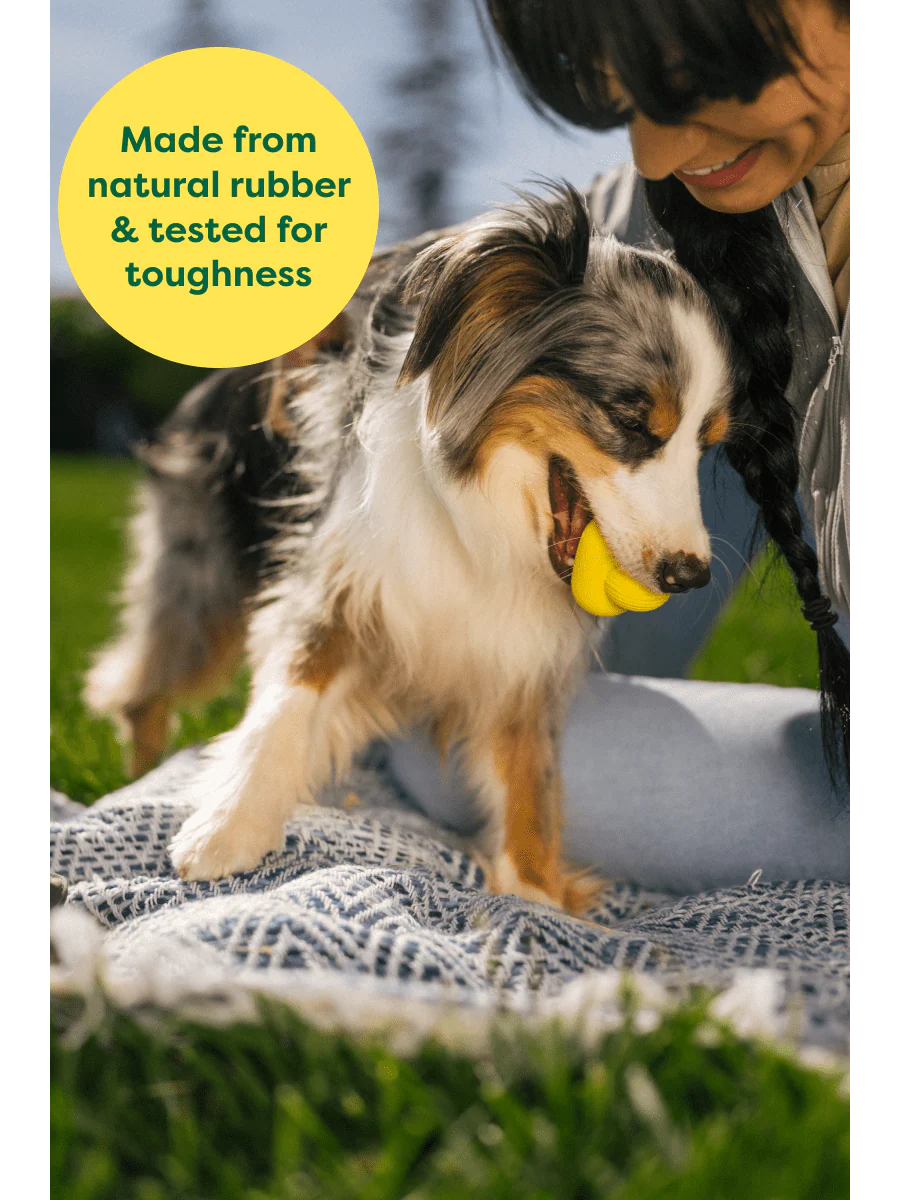 Earth Rated Rubber Fetch Dog Toy - Image 4