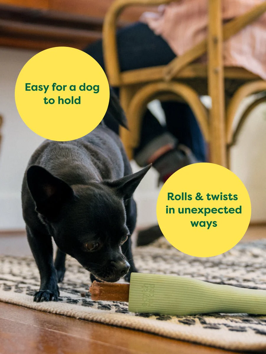 Earth Rated Enrichment Rubber Dog Chew Toy - Image 4