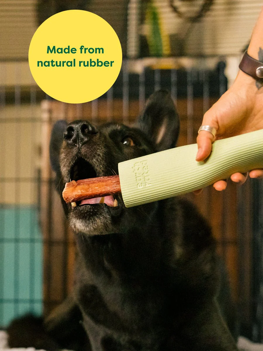 Earth Rated Enrichment Rubber Dog Chew Toy - Image 6