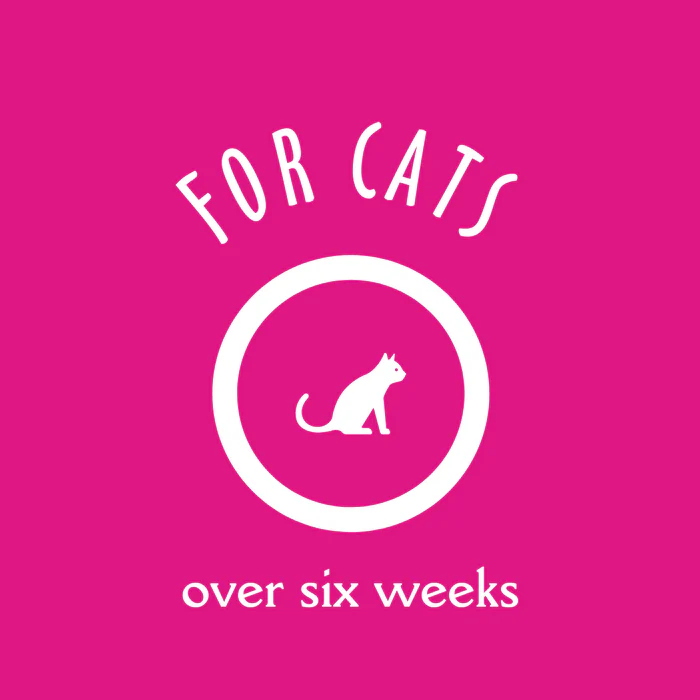 Earthbath Hypoallergenic Cat Grooming Foam - Image 4