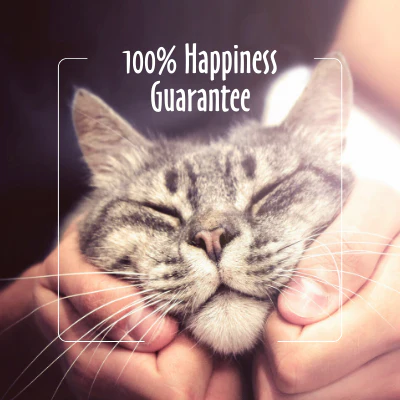 Earthbath Hypoallergenic Cat Grooming Foam - Image 6