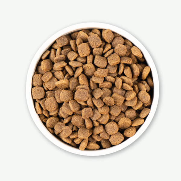 Earthborn Holistic Coastal Catch Grain Free Dog Food - Image 4