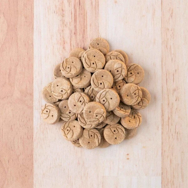 Earthborn Holistic EarthBites Crunchy Lamb Meal Recipe Baked Dog Treats - Image 4