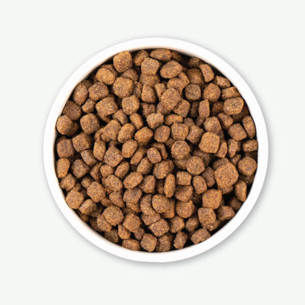 Earthborn Holistic Meadow Feast™ Dry Dog Food - Image 4