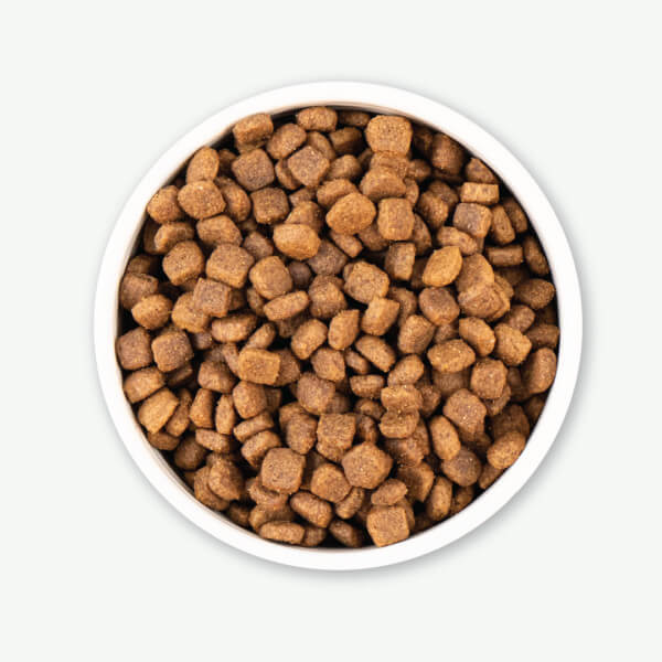 Earthborn Holistic Primitive Natural™ Dry Dog Food - Image 4