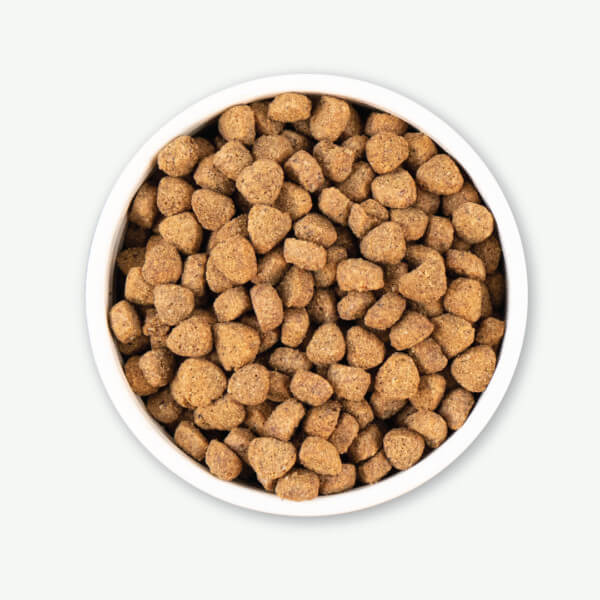 Earthborn Holistic Unrefined Roasted Rabbit Recipe Dry Dog Food - Image 4
