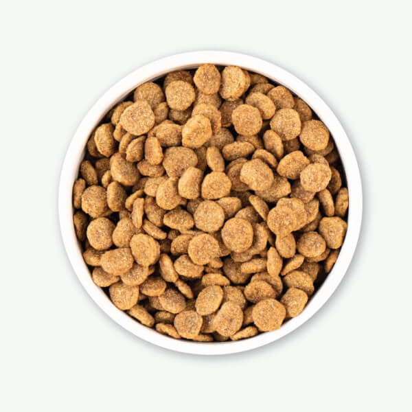 Earthborn Holistic Weight Control Dry Dog Food - Image 5