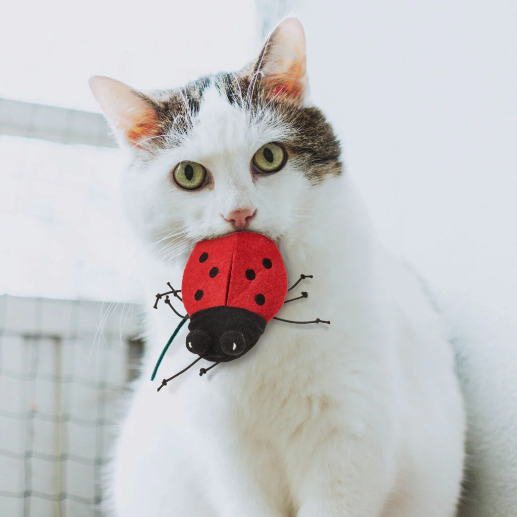 Ethical Pet SPOT Buzzing Insect Cat Toy - Image 2