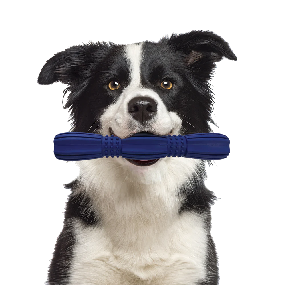 Ethical SPOT Barrett Tough Retriever Dog Toy - Image 2