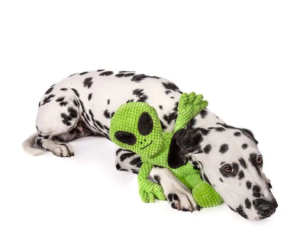 fabdog Floppy Alien Dog Toy - Image 3