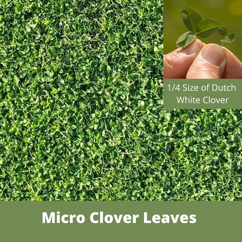 Flawn Seed Kits Micro Clover Eco-Friendly Seeding Kit - Image 2