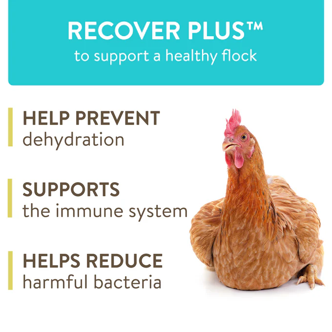 FlockLeader RECOVER PLUS - Image 3