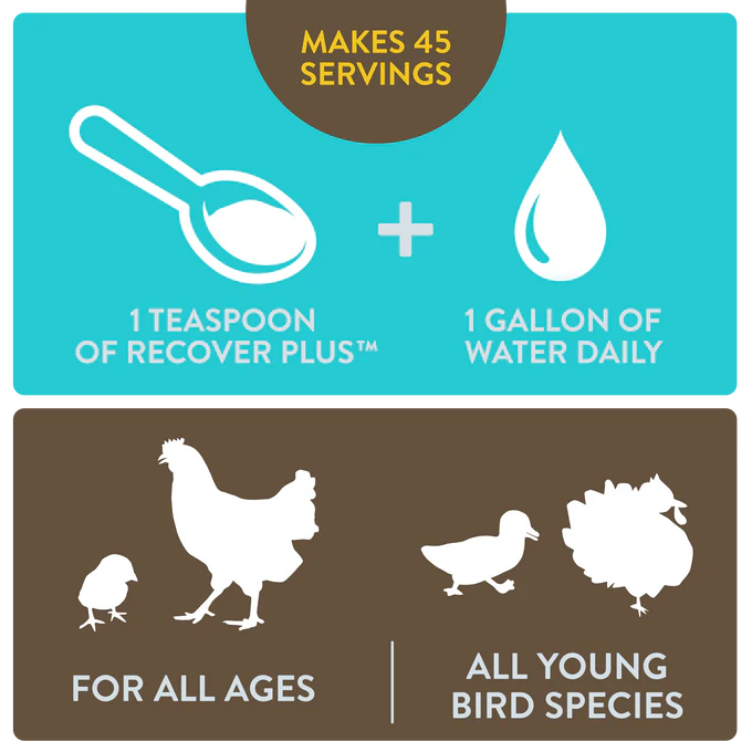 FlockLeader RECOVER PLUS - Image 5