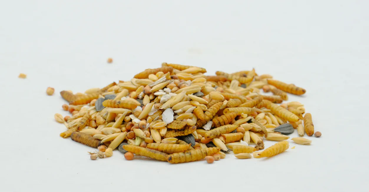 Forager's Feed Chicken Treat Herb Garden Mix - Image 2