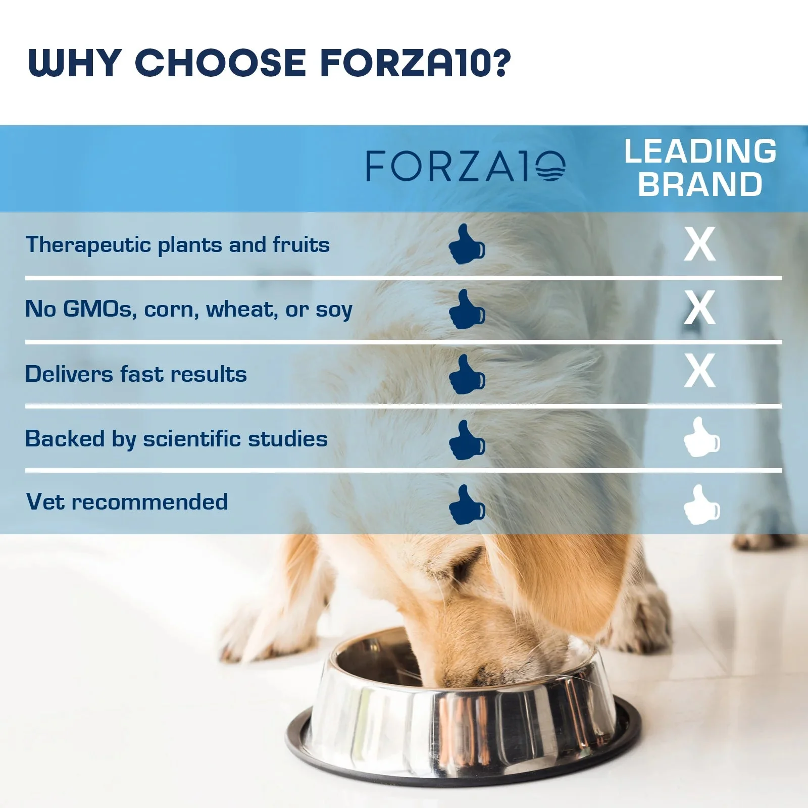 Forza10 Nutraceutic Active Dermo Dry Dog Food - Image 6
