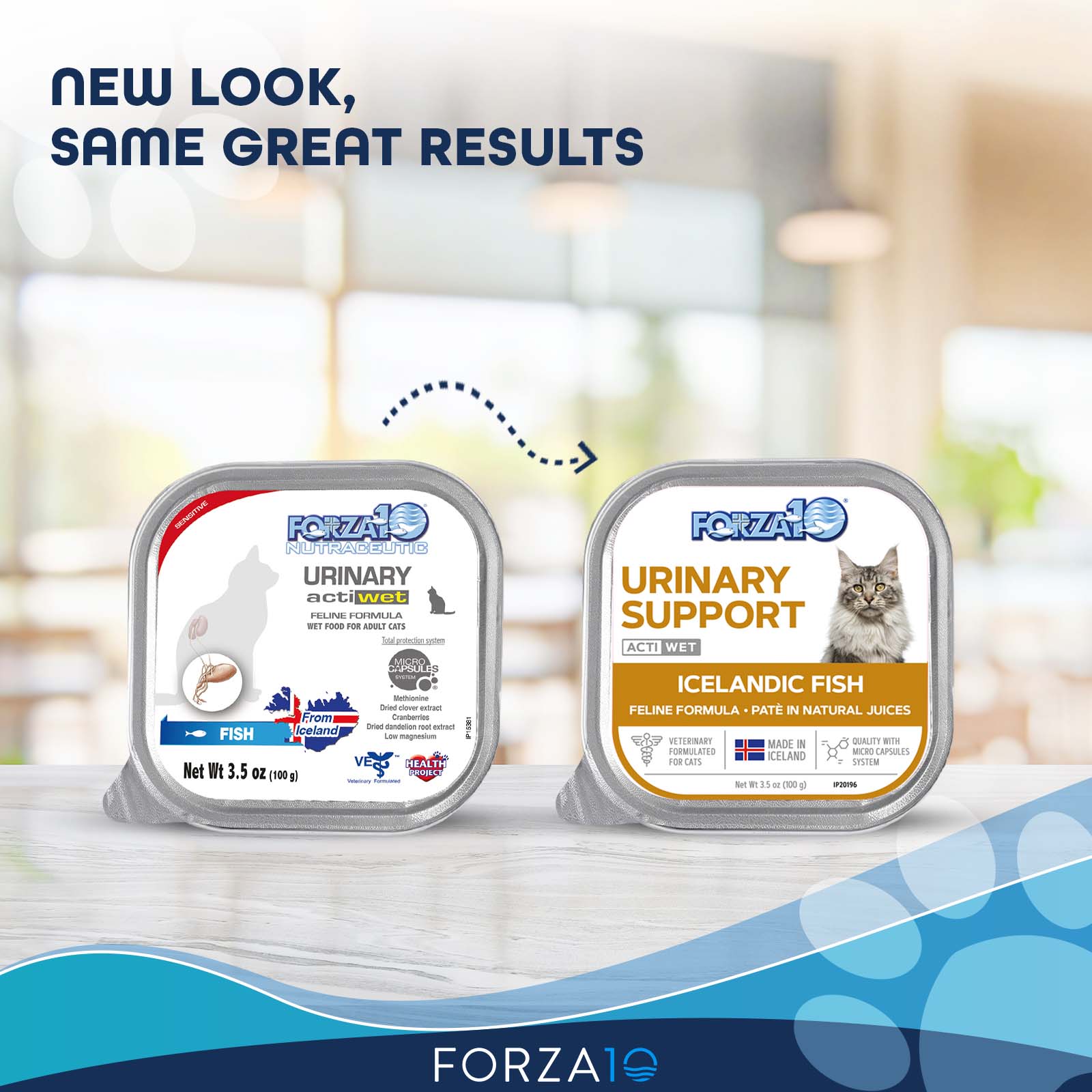 Forza10 Nutraceutic Actiwet Urinary Icelandic Fish Recipe Wet Cat Food - Image 2