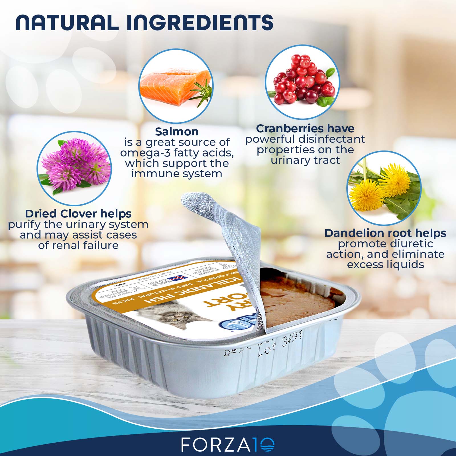 Forza10 Nutraceutic Actiwet Urinary Icelandic Fish Recipe Wet Cat Food - Image 3