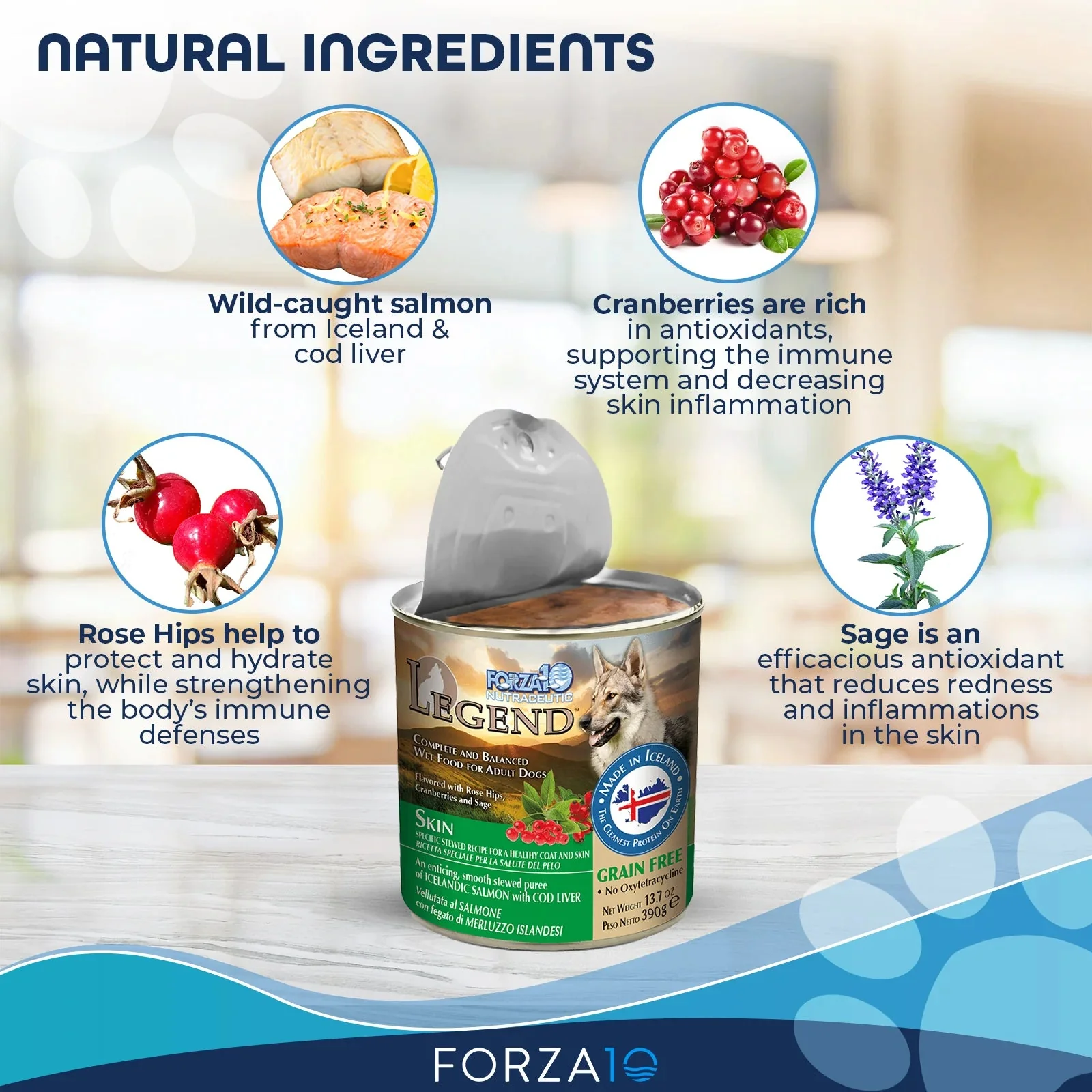 Forza10 Nutraceutic Legend Skin Icelandic Fish Recipe Grain-Free Canned Dog Food - Image 4